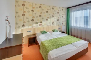 Hotel Skalský dvůr