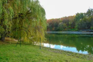 Divoká Šárka Praha