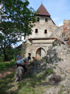 Hrad Točník