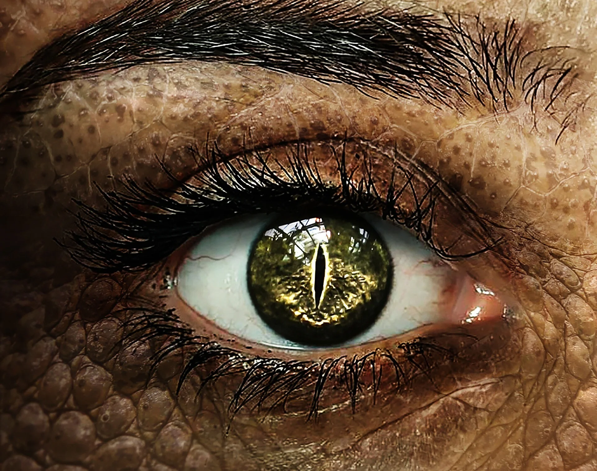 Is it worth watching House of the Dragon?