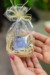 Soap Workshop