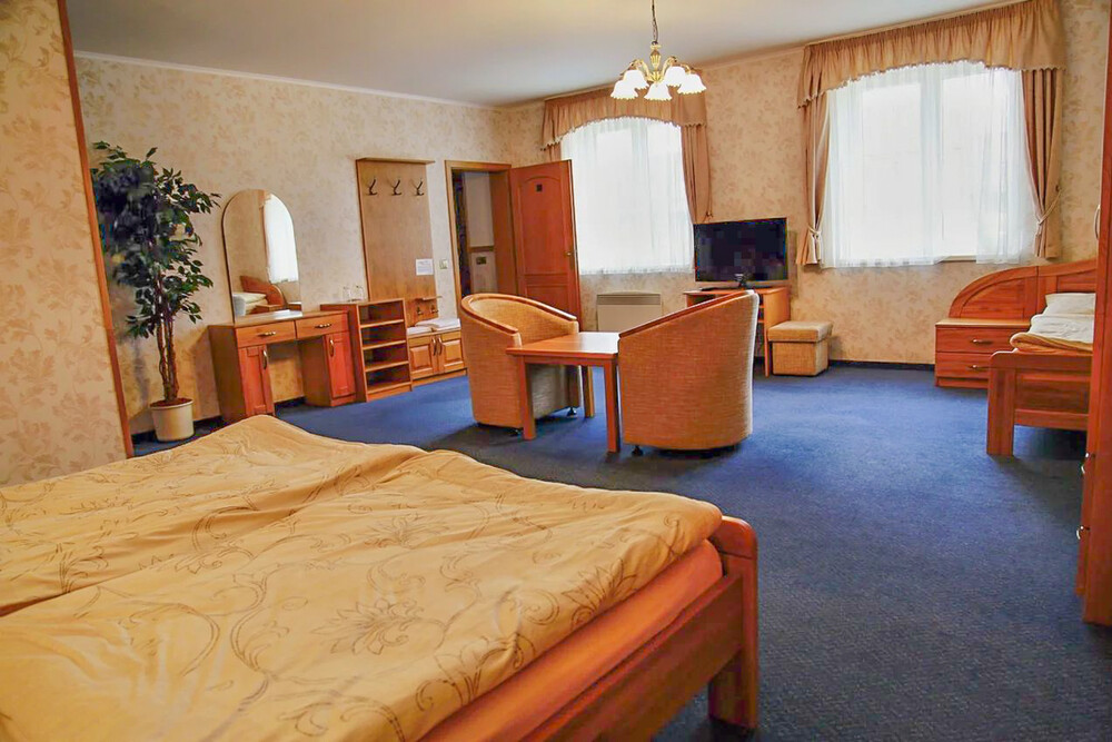 Hotel Lions Nesuchyně