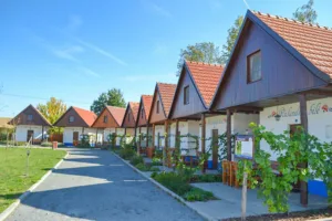 Hotel Slovácký dvůr
