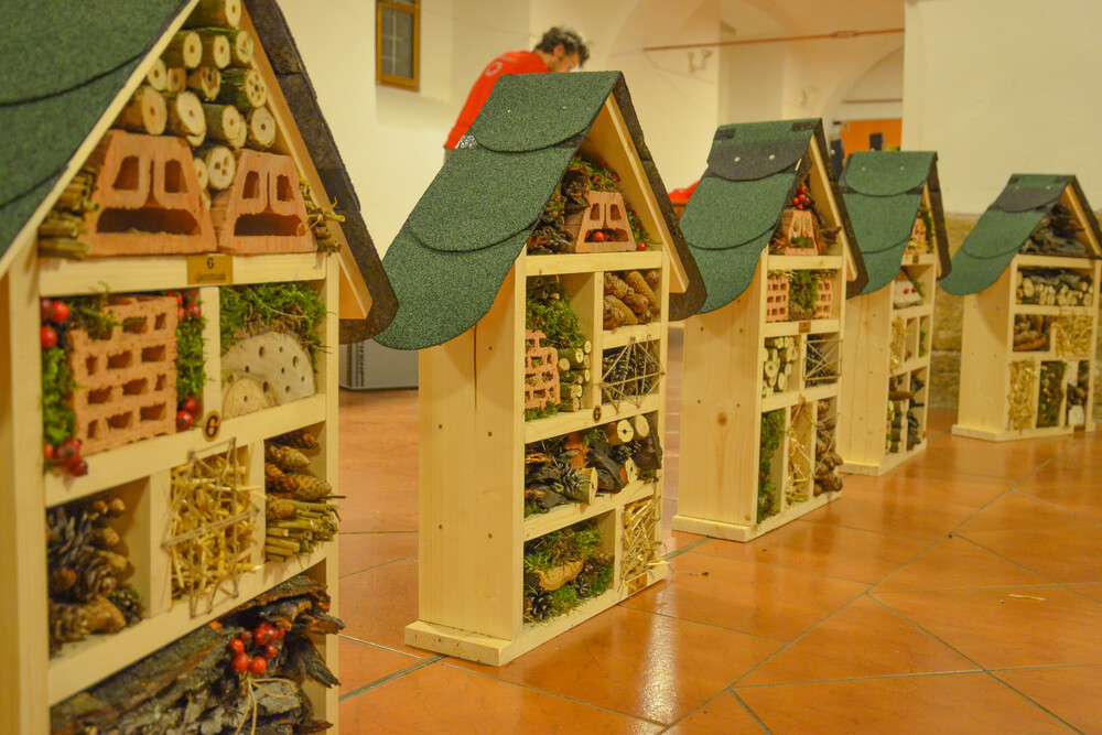 Insect Hotels Construction