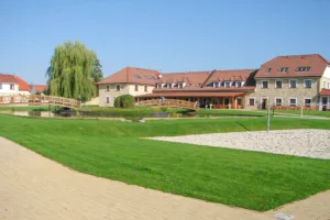 Hotel Lions Nesuchyně