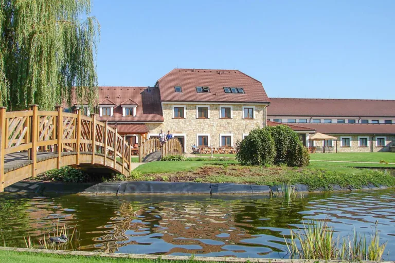 Hotel Lions Nesuchyně