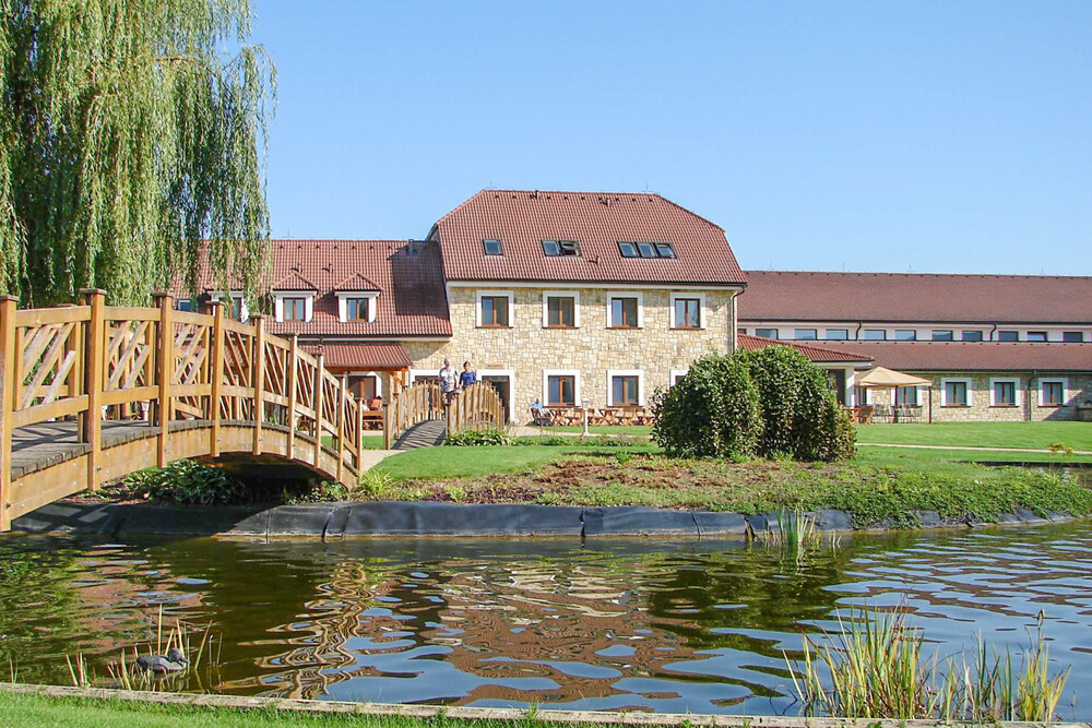 Hotel Lions Nesuchyně