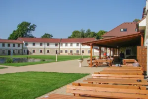 Hotel Lions Nesuchyně