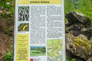 Divoká Šárka Praha