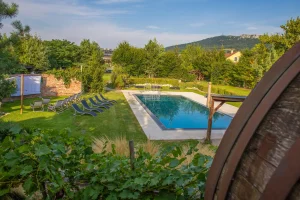 Outdoor pool in the garden with Pálava in the background