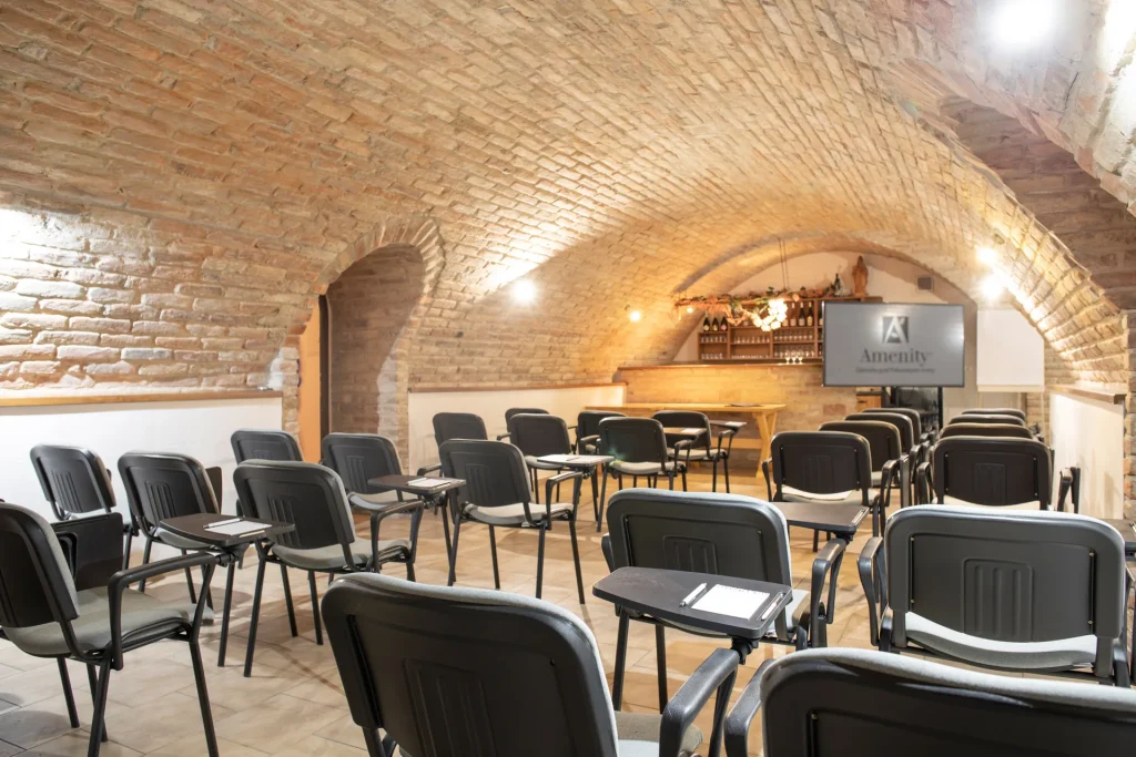 Amenity Guesthouse Horní Věstonice – Wine cellar in theater seating with a screen