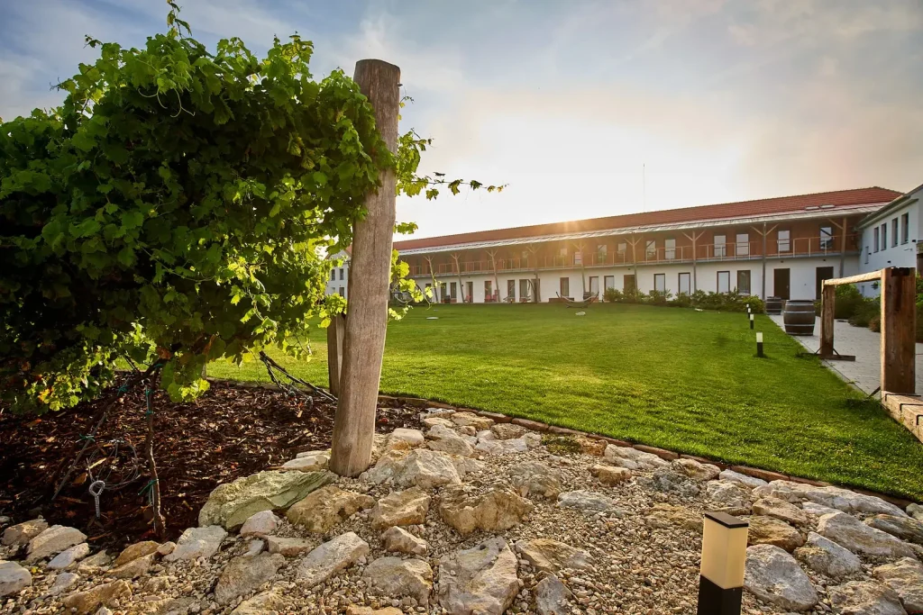 Hotel Ryzlink Mikulov – Vinohrad a budova hotelu