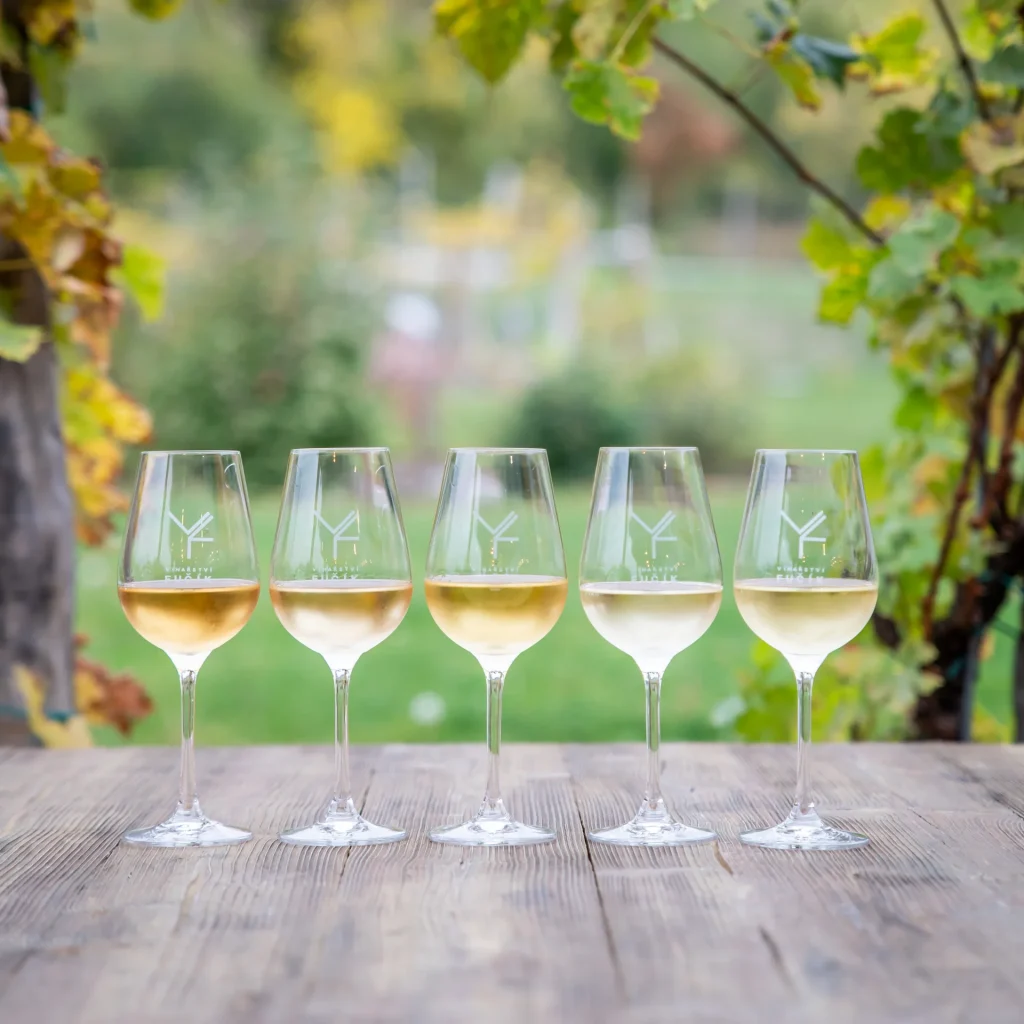 Hotel Ryzlink in Mikulov – Wine tasting